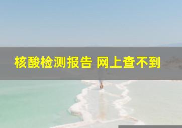 核酸检测报告 网上查不到